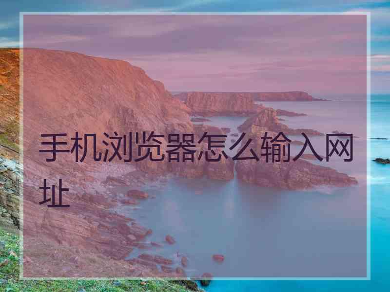 手机浏览器怎么输入网址