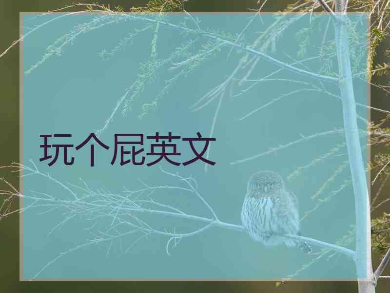 玩个屁英文
