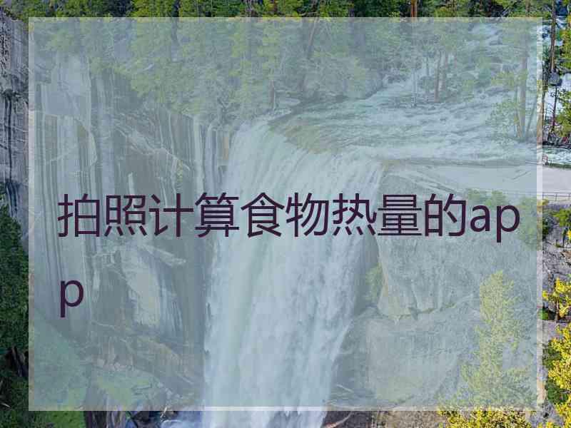 拍照计算食物热量的app