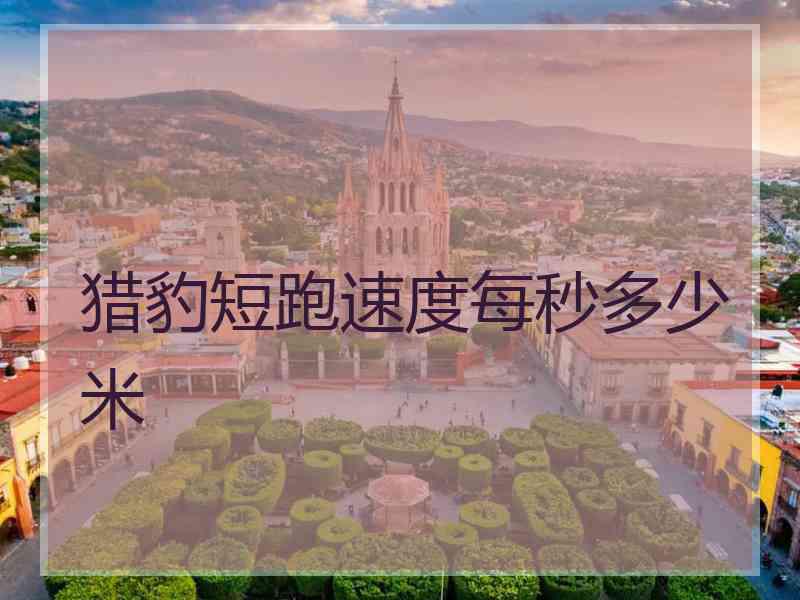 猎豹短跑速度每秒多少米