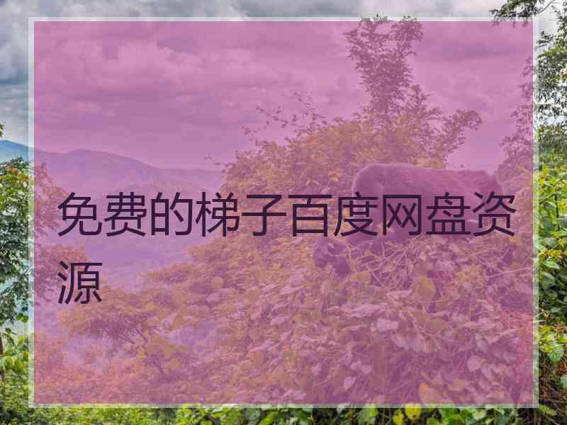免费的梯子百度网盘资源