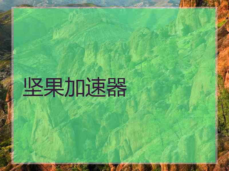 坚果加速器