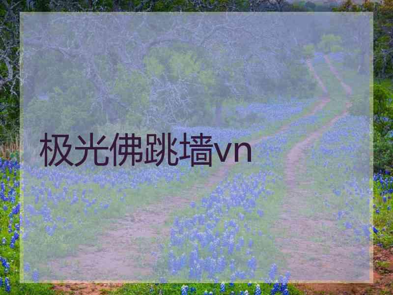 极光佛跳墙vn