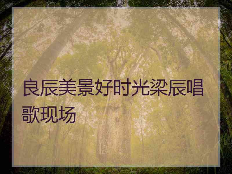 良辰美景好时光梁辰唱歌现场