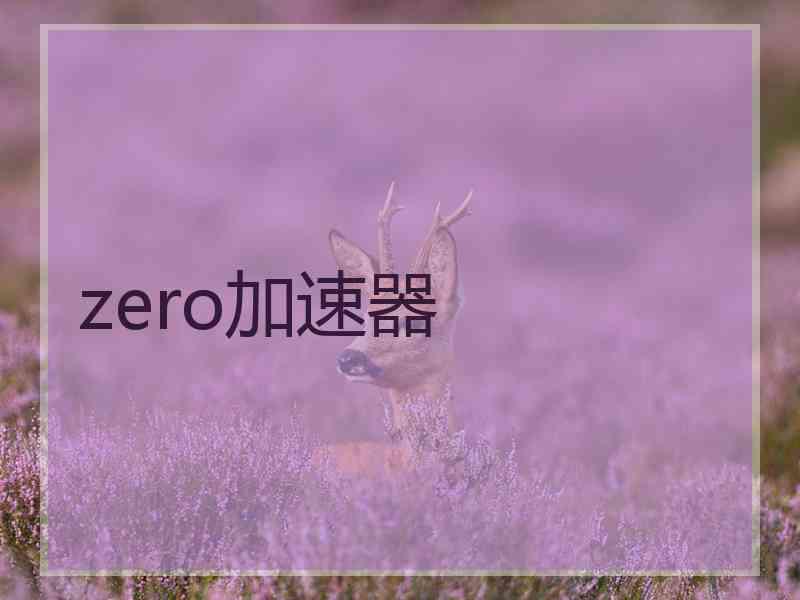 zero加速器
