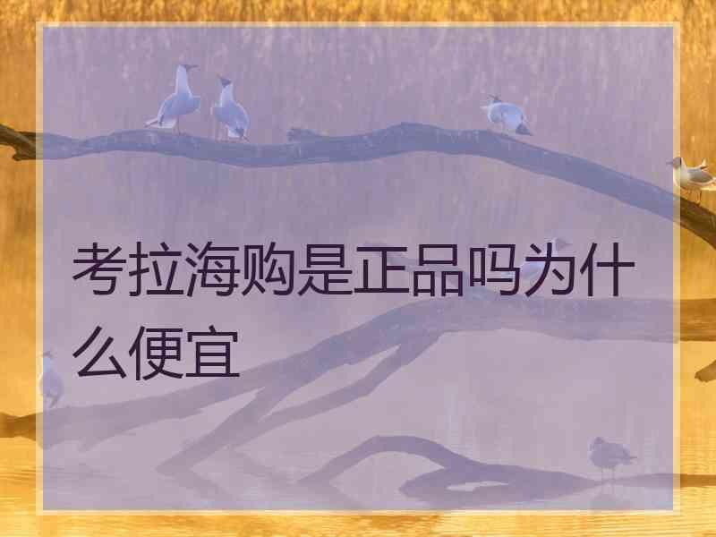 考拉海购是正品吗为什么便宜