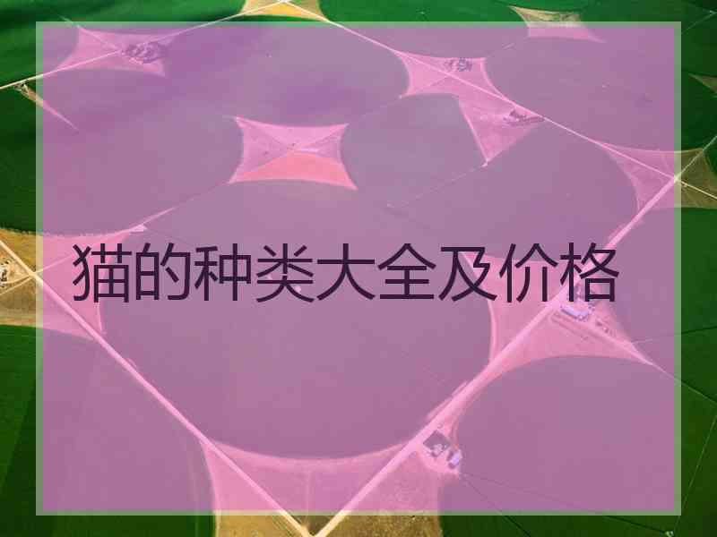猫的种类大全及价格
