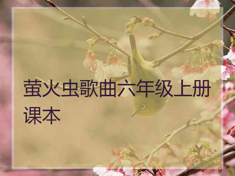 萤火虫歌曲六年级上册课本
