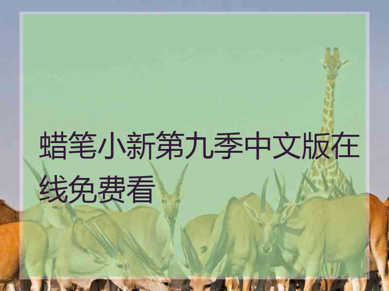 蜡笔小新第九季中文版在线免费看