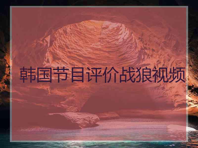 韩国节目评价战狼视频