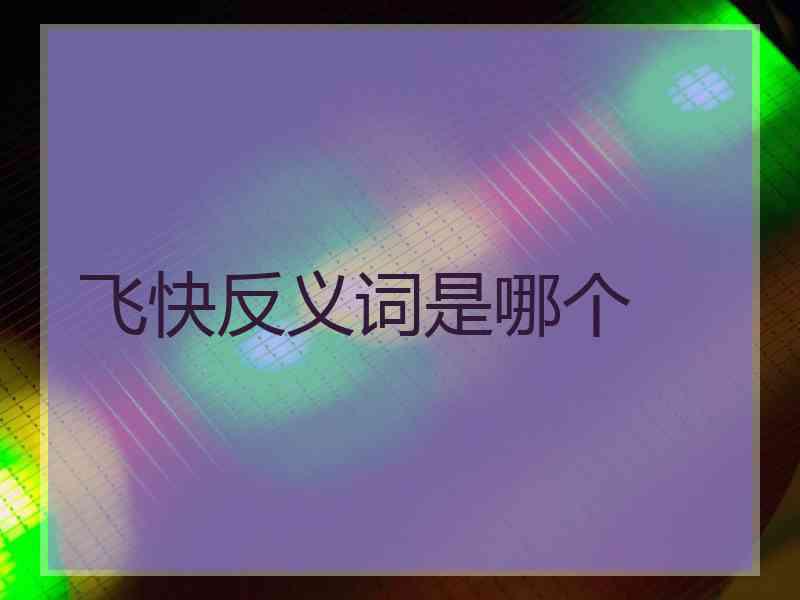 飞快反义词是哪个