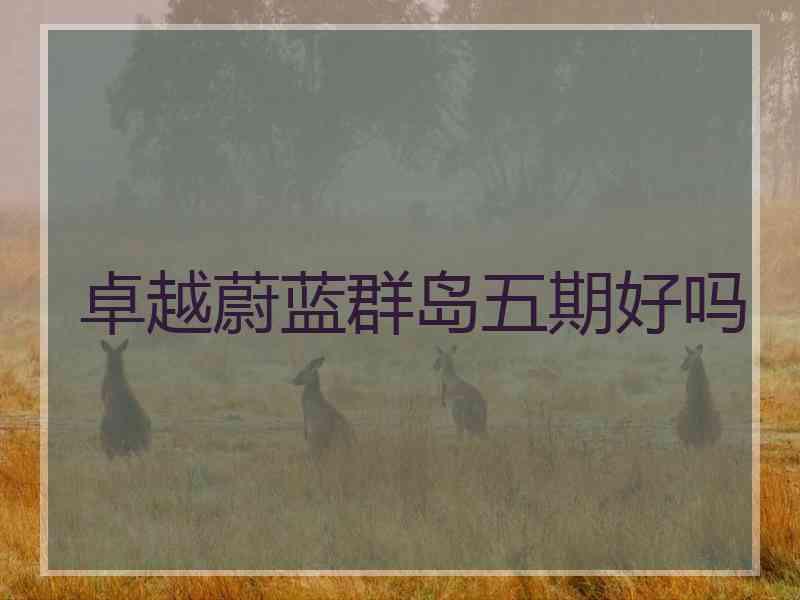 卓越蔚蓝群岛五期好吗