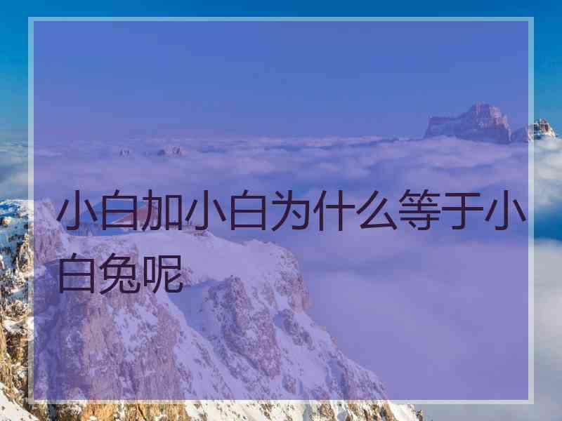 小白加小白为什么等于小白兔呢