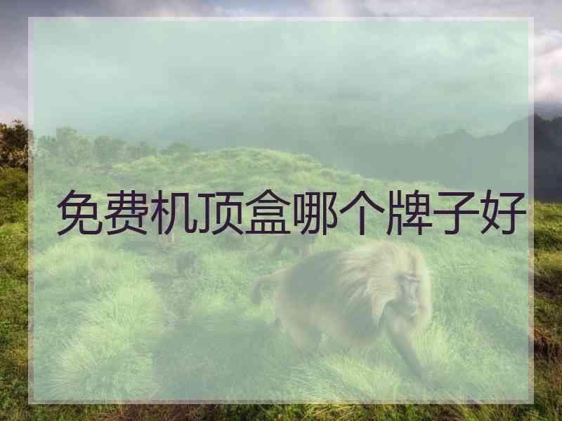免费机顶盒哪个牌子好