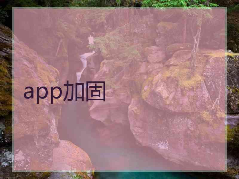 app加固
