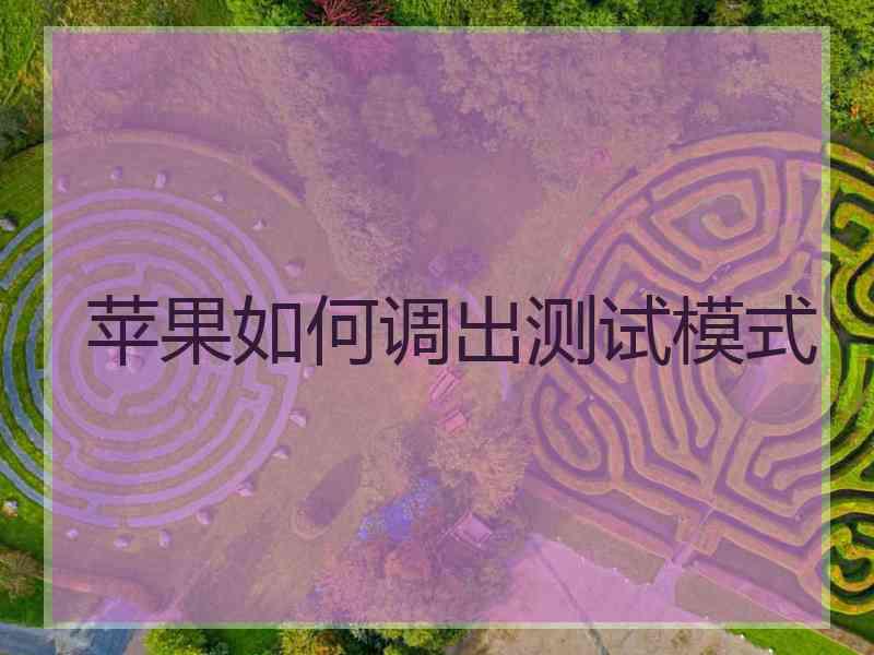 苹果如何调出测试模式