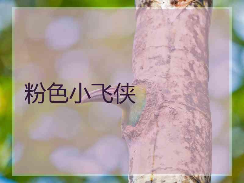 粉色小飞侠