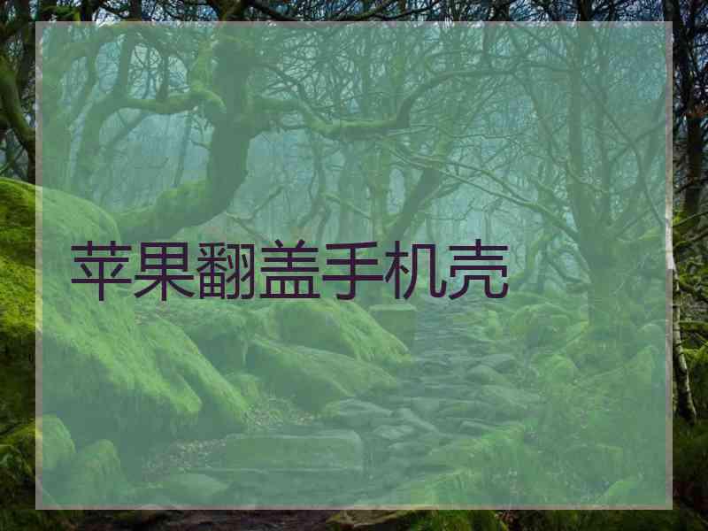 苹果翻盖手机壳