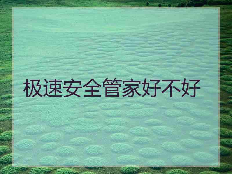 极速安全管家好不好
