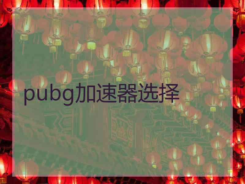 pubg加速器选择