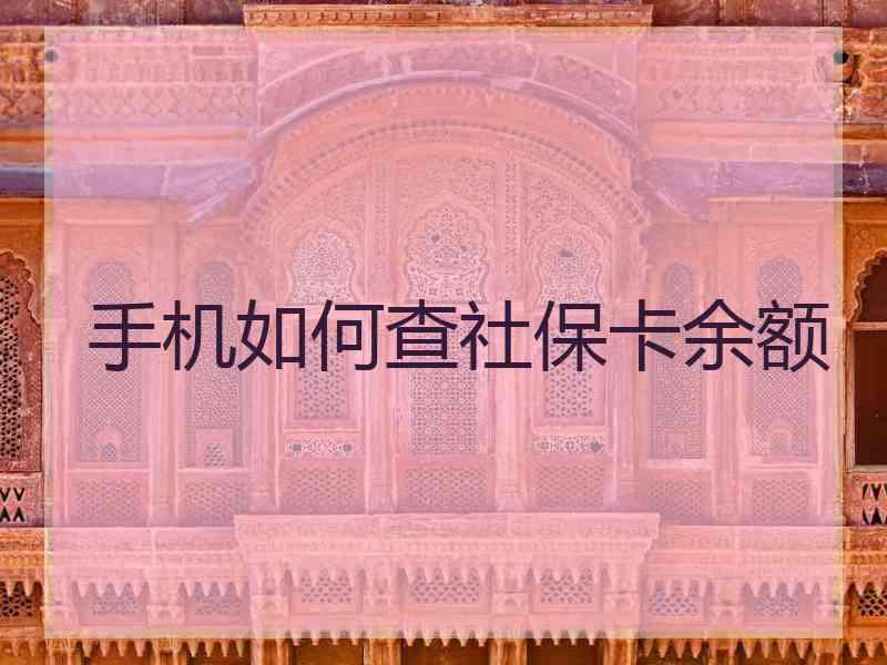 手机如何查社保卡余额