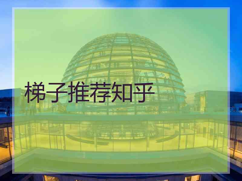 梯子推荐知乎