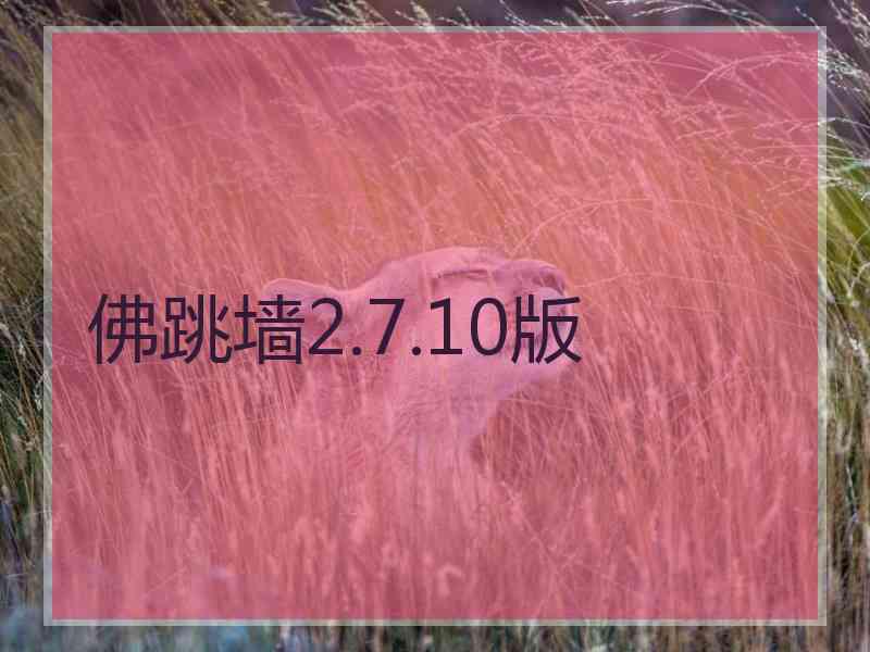 佛跳墙2.7.10版