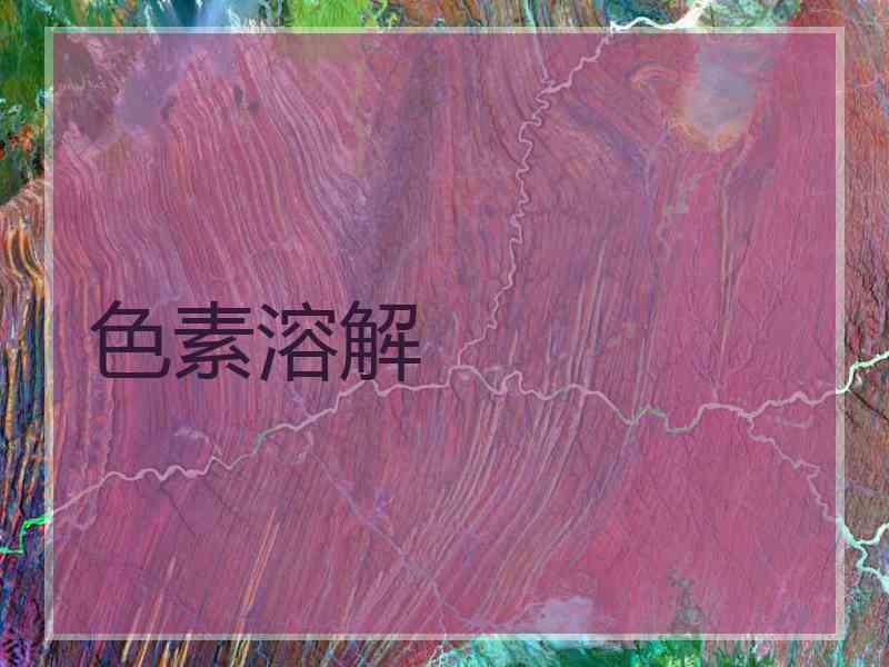 色素溶解