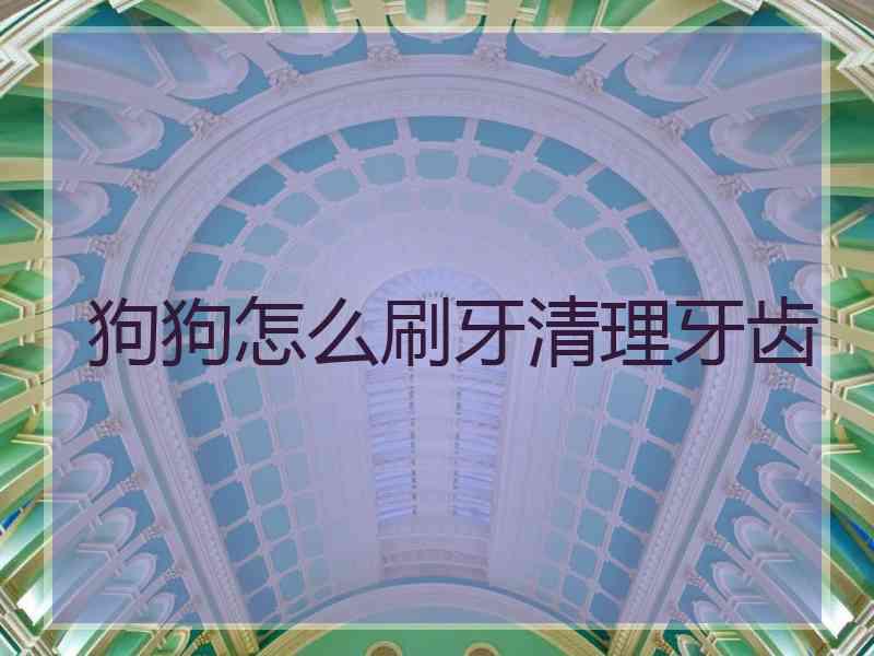 狗狗怎么刷牙清理牙齿