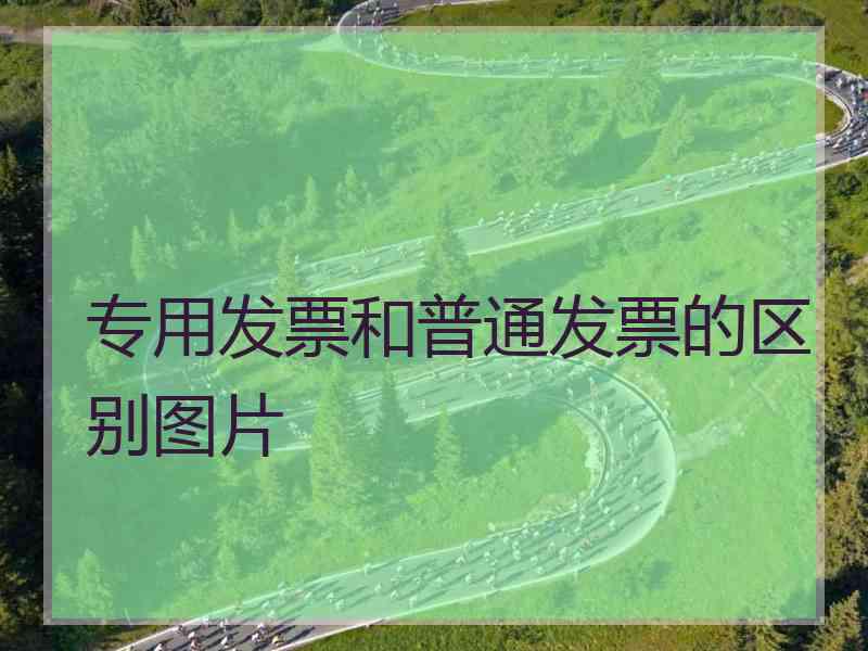 专用发票和普通发票的区别图片