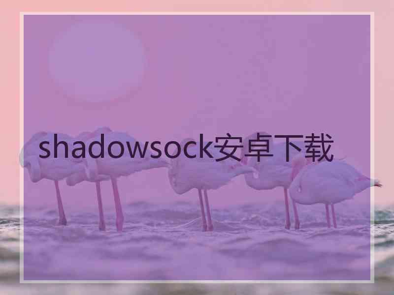 shadowsock安卓下载