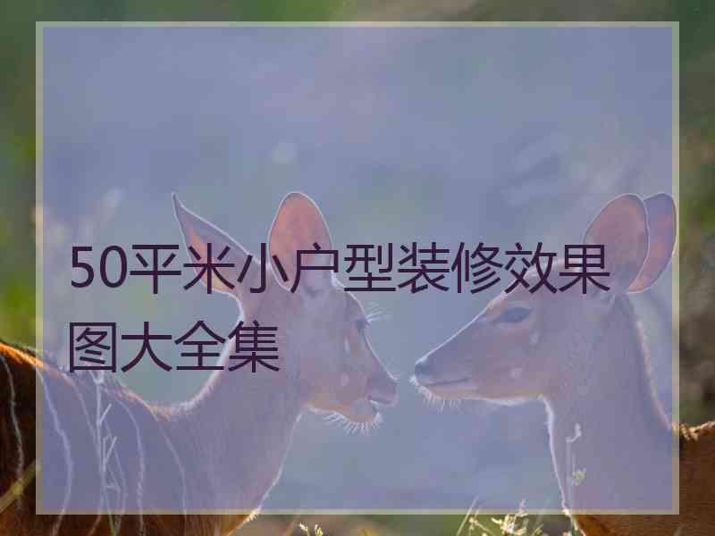 50平米小户型装修效果图大全集