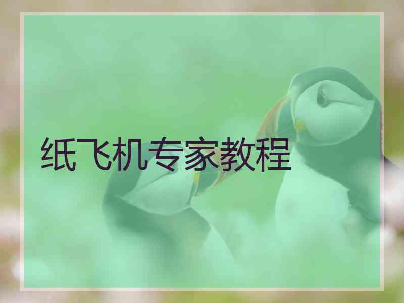 纸飞机专家教程