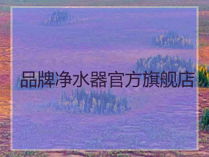 品牌净水器官方旗舰店