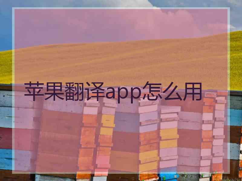 苹果翻译app怎么用