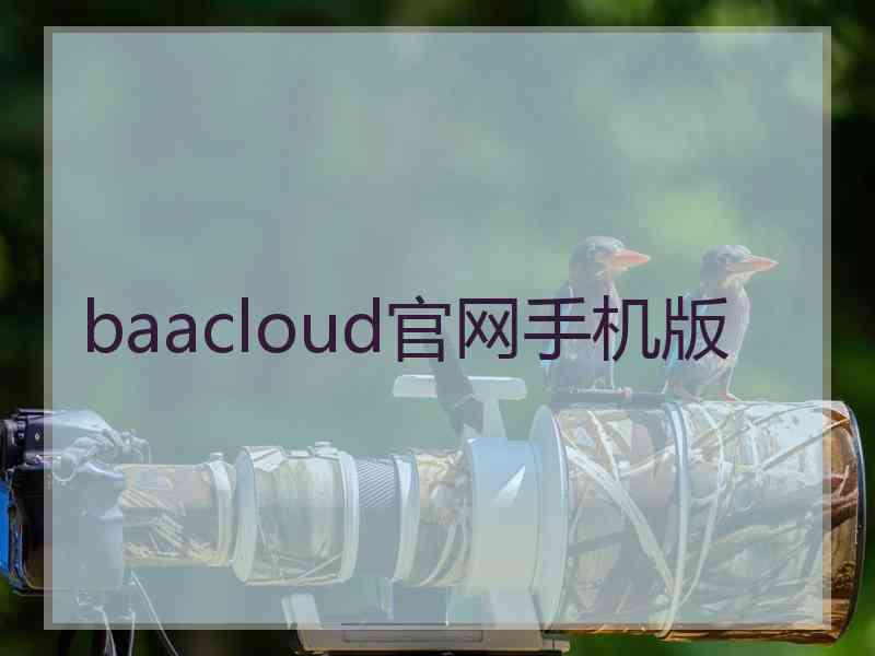 baacloud官网手机版