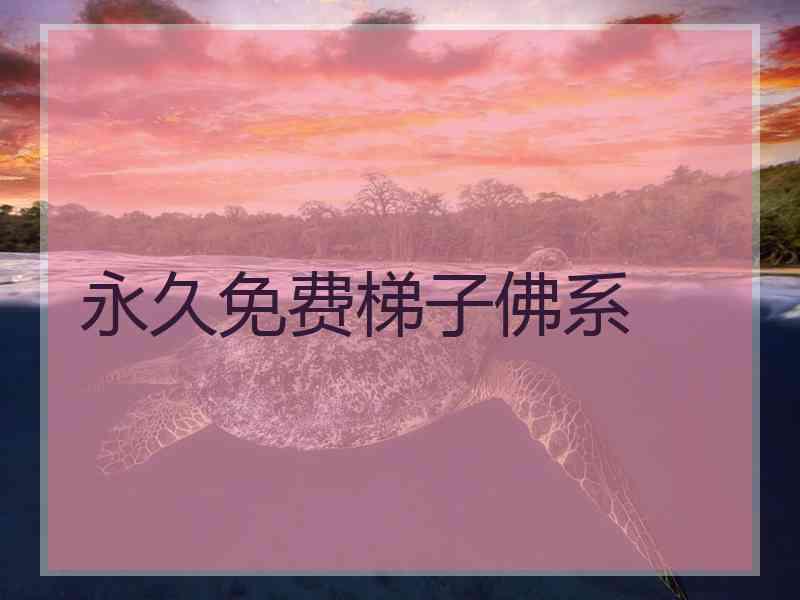 永久免费梯子佛系