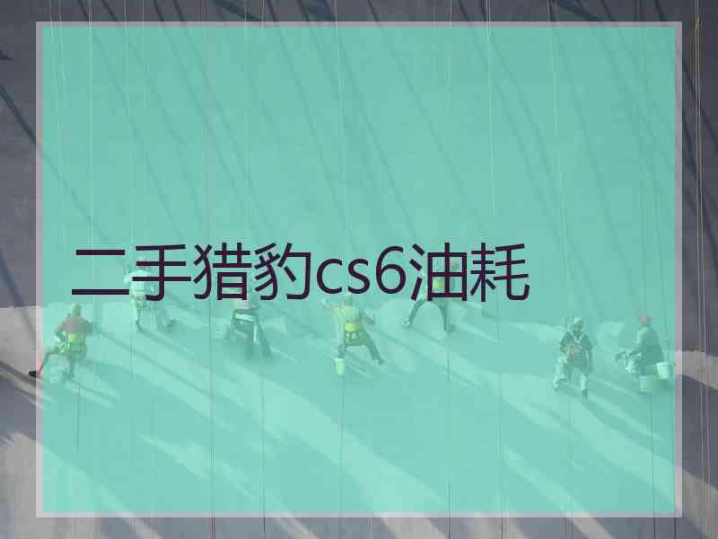 二手猎豹cs6油耗