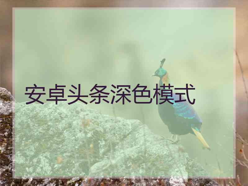 安卓头条深色模式