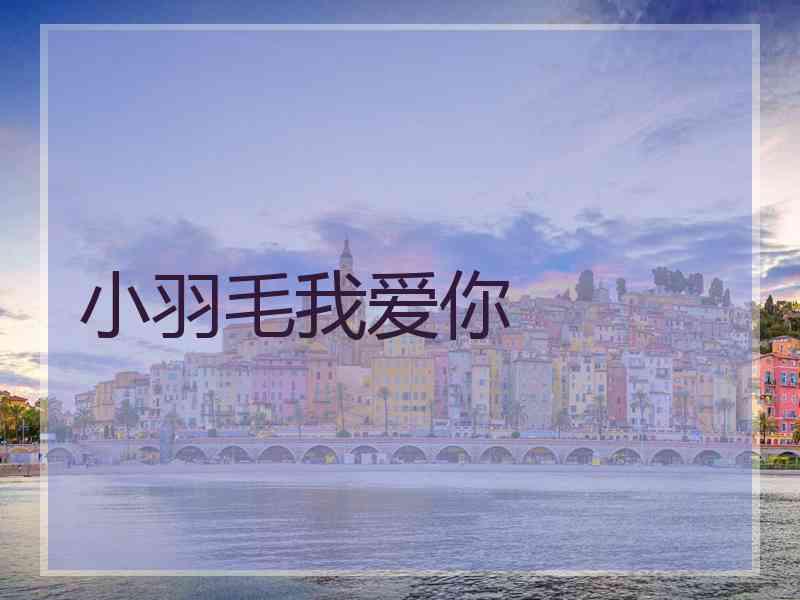 小羽毛我爱你