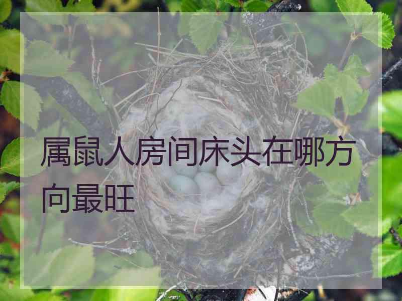 属鼠人房间床头在哪方向最旺
