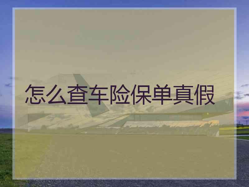 怎么查车险保单真假