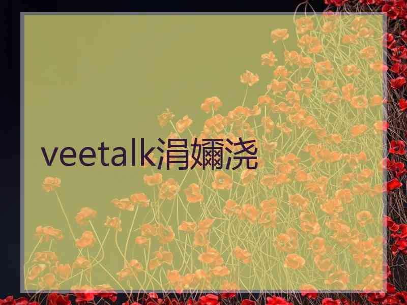 veetalk涓嬭浇