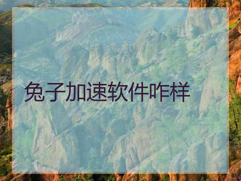 兔子加速软件咋样