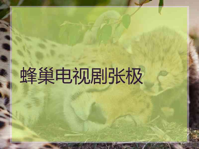 蜂巢电视剧张极