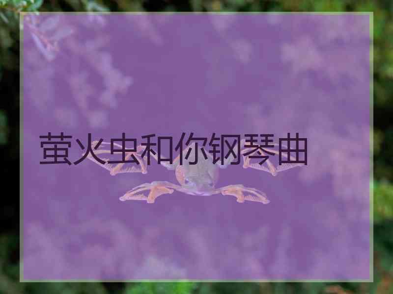 萤火虫和你钢琴曲