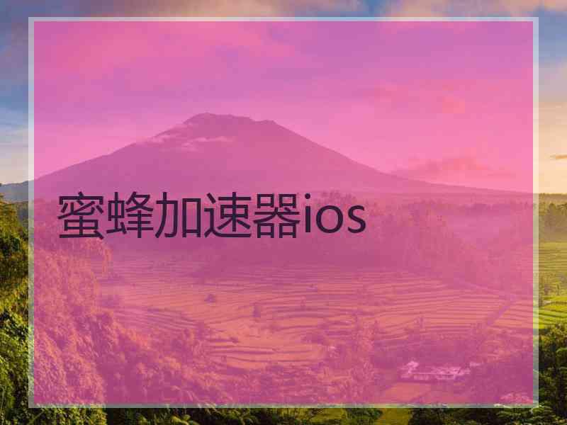 蜜蜂加速器ios