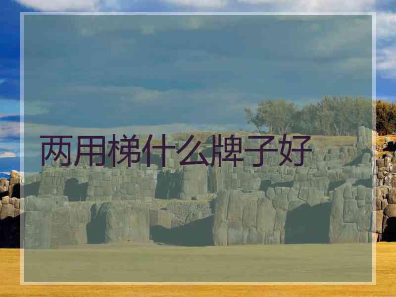 两用梯什么牌子好