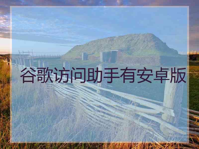 谷歌访问助手有安卓版