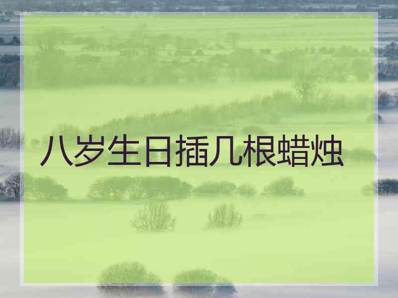 八岁生日插几根蜡烛